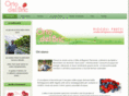 ortodelbric.com