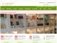 pinkgingershop.com