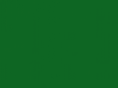 seedsofthefuture.org