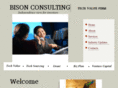 bisonconsulting.net