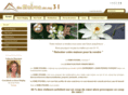 mamaisonsurson31.com