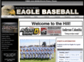 nicevillebaseball.com