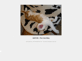animalworldcare.com