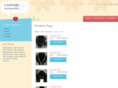 cantiqu.com