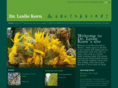 drlesliekorn.com