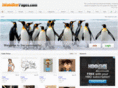 jalandharpages.com