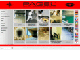 pagel.asia