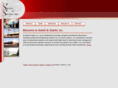 salehiengineering.com