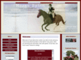 horsespirit5.com