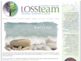 lossteam.com