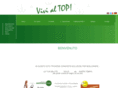 vivialtop.com