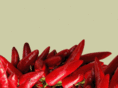fusterpaprika.com