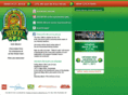irishrunaz.com