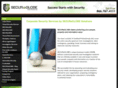 securaglobe.com
