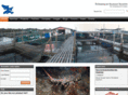 singaporefish.com