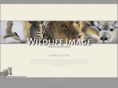 wildlife-image.com
