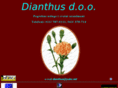 dianthus-doo.com