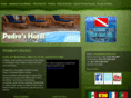 flashpackerbelize.com