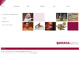 gunaza.com