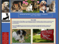 humanesocietyofblueridge.com