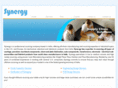 indiasynergy.com
