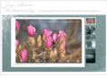 jayadamphotography.com
