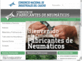 neumaticoyseguridad.com