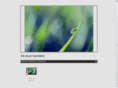 thevisualmeanderer.com