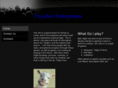 tryydon.com