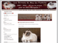 chat-birman-sacre-de-birmanie.com