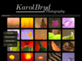 karolbryd.com