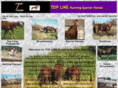 toplinerunningquarterhorses.com