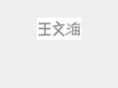 wongmenhoi.com