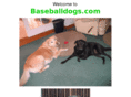 baseballdogs.com