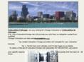 colocationchicago.net