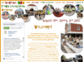newfanetowncelebration.com