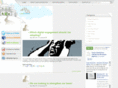 oasisinteractive.com