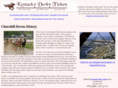 tickets-kentucky-derby.com
