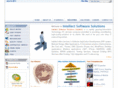 amraveinfotech.com