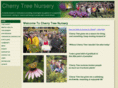 cherrytreenursery.org.uk