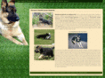 sandhillgermanshepherds.com