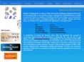 ubconsultant.com