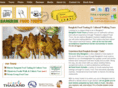 bangkokfoodtour.com