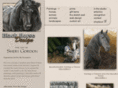 black-horse-studio.com