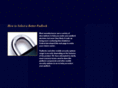 federalpadlocks.com