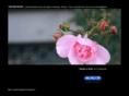 orchestronic.com