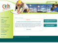cfdt-construction-bois.fr