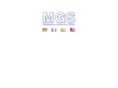 mgsservice.com