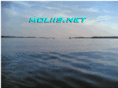 moliis.net