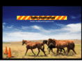 mustangsbar.com